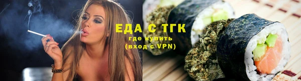 дживик Верхний Тагил
