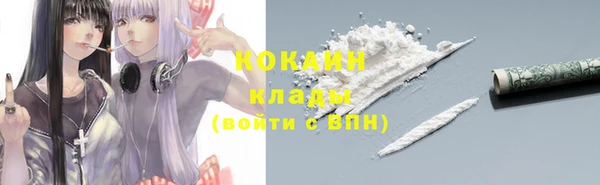 дживик Верхний Тагил