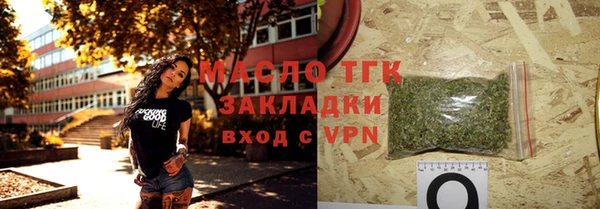 дживик Верхний Тагил