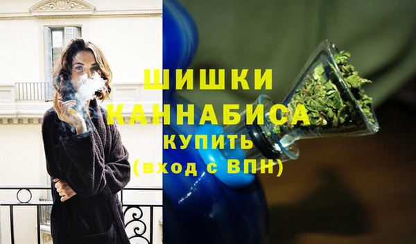 дживик Верхний Тагил