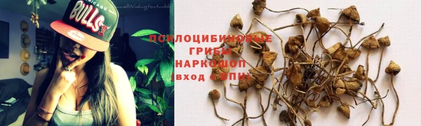 дживик Верхний Тагил